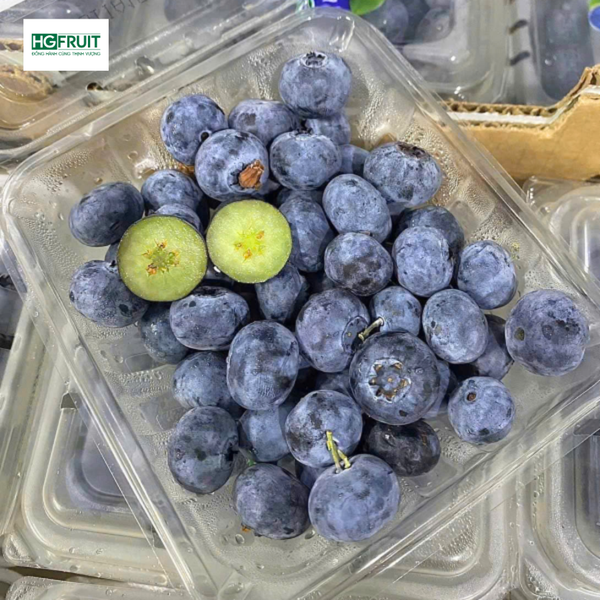 Việt quất Mỹ giá sỉ