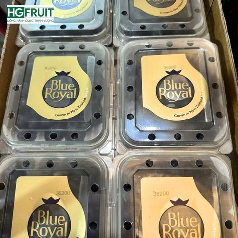  Việt quất New Zealand - New Zealand Blueberries 