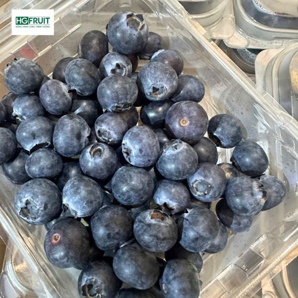 Việt quất New Zealand - New Zealand Blueberries