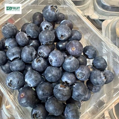  Việt quất New Zealand - New Zealand Blueberries 