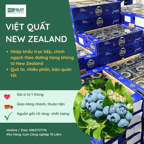  Việt quất New Zealand - New Zealand Blueberries 