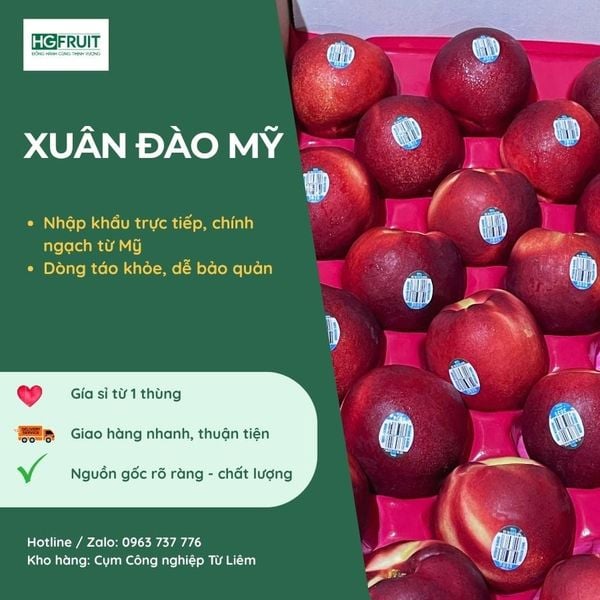 Xuân Đào Mỹ Giá Sỉ Tốt Nhất Từ Hoàng Giang Fruit