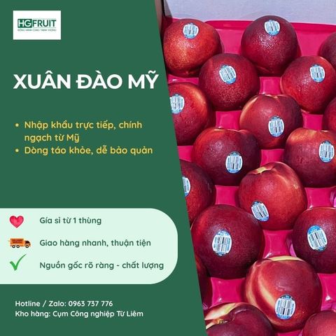  Xuân Đào Mỹ 