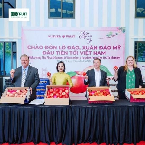  Xuân Đào Mỹ 