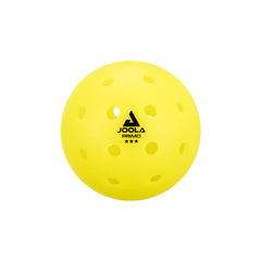 Set Vợt JOOLA Perseus Aurora Pickleball Pack
