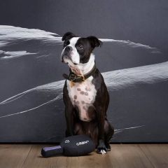 CRBNK9 Squeak Dog Toy