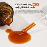  Tinh chất Trà Xanh dưỡng ẩm và kiểm soát dầu nhờn Isntree Green Tea Fresh Serum 50ml 