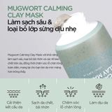  Mặt nạ đất sét Ngải Cứu làm sạch bã nhờn Isntree Mugwort Calming Clay Mask 100ml 