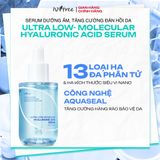  Tinh Chất Thuần Chay HA Siêu Vi Nano Cấp Nước Chuyên Sâu & Trẻ Hoá Da Isntree Ultra-low Molecular HA Serum 50ml 