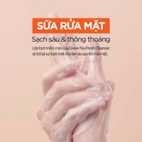  Sữa rửa mặt Trà Xanh làm sạch và kiểm soát bã nhờn Isntree Green Tea Fresh Cleanser 120ml 