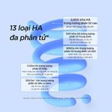  Toner thuần chay HA siêu vi nano cấp ẩm chuyên sâu & căng bóng da Isntree Ultra-low Molecular Hyaluronic Acid 300ml 