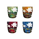  Bộ Chén Trà Hoa Sen "Tứ Thời Họa Liên" - 120ml - Jadify 