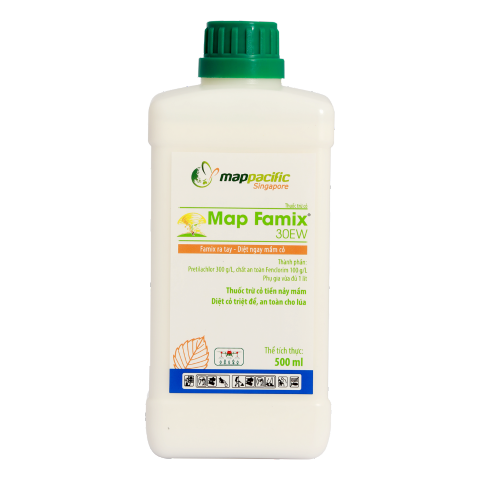  Map Famix 30EW 