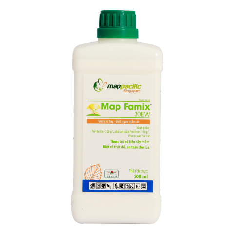  Map Famix 30EW 