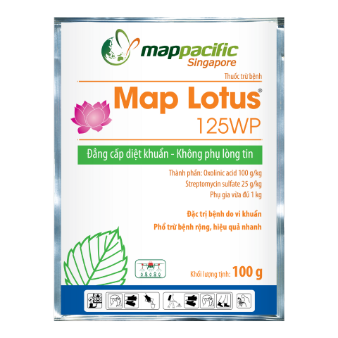  Map Lotus 125WP 