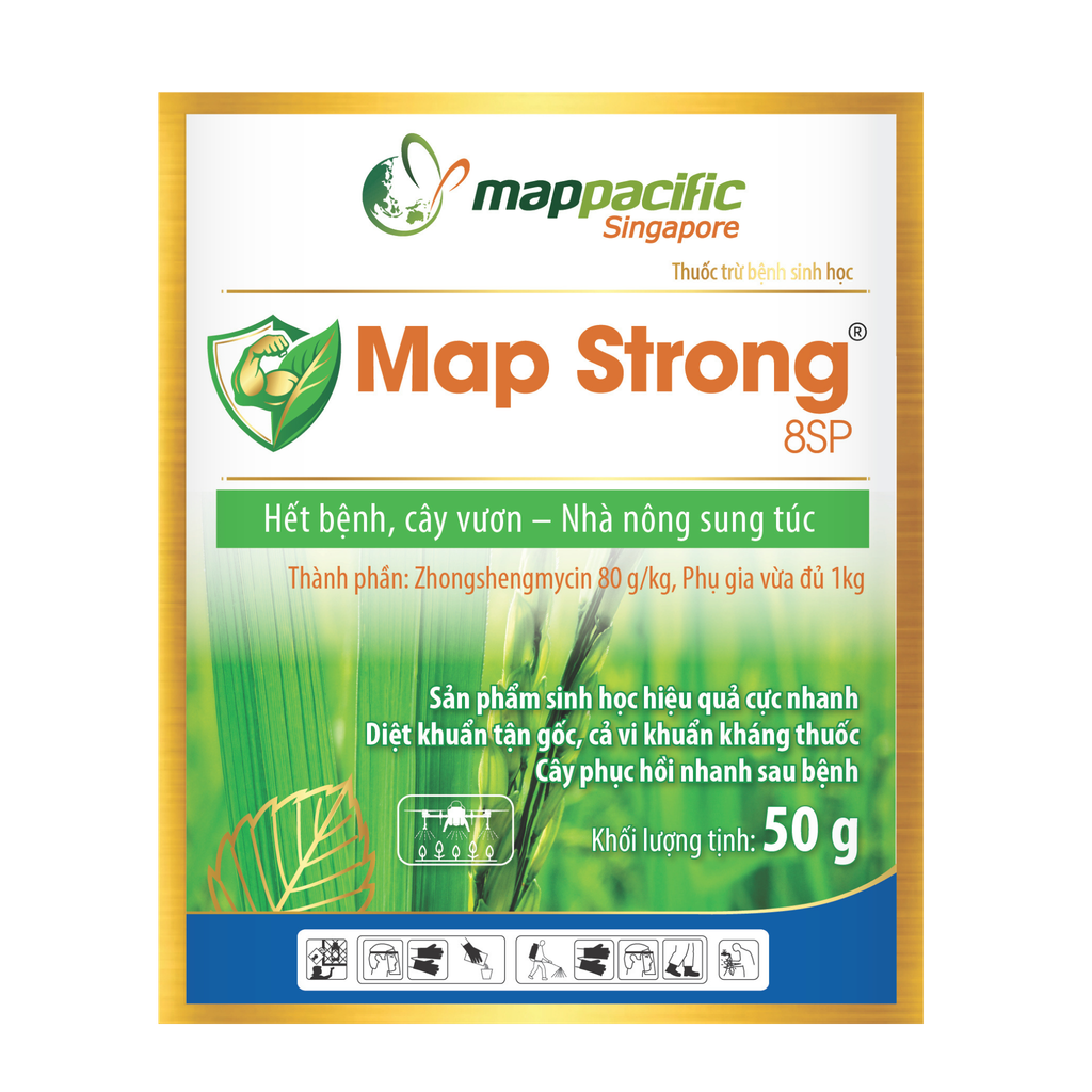  Map Strong 8SP 