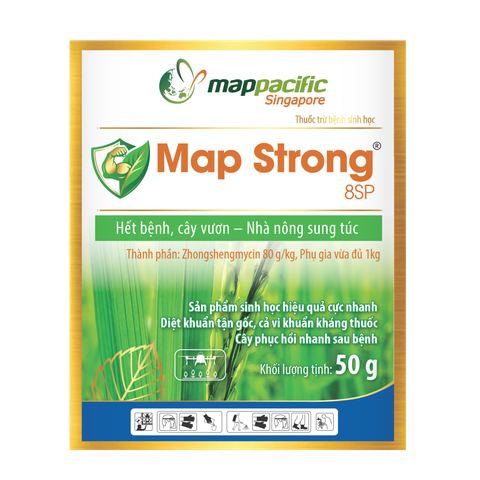  Map Strong 8SP 
