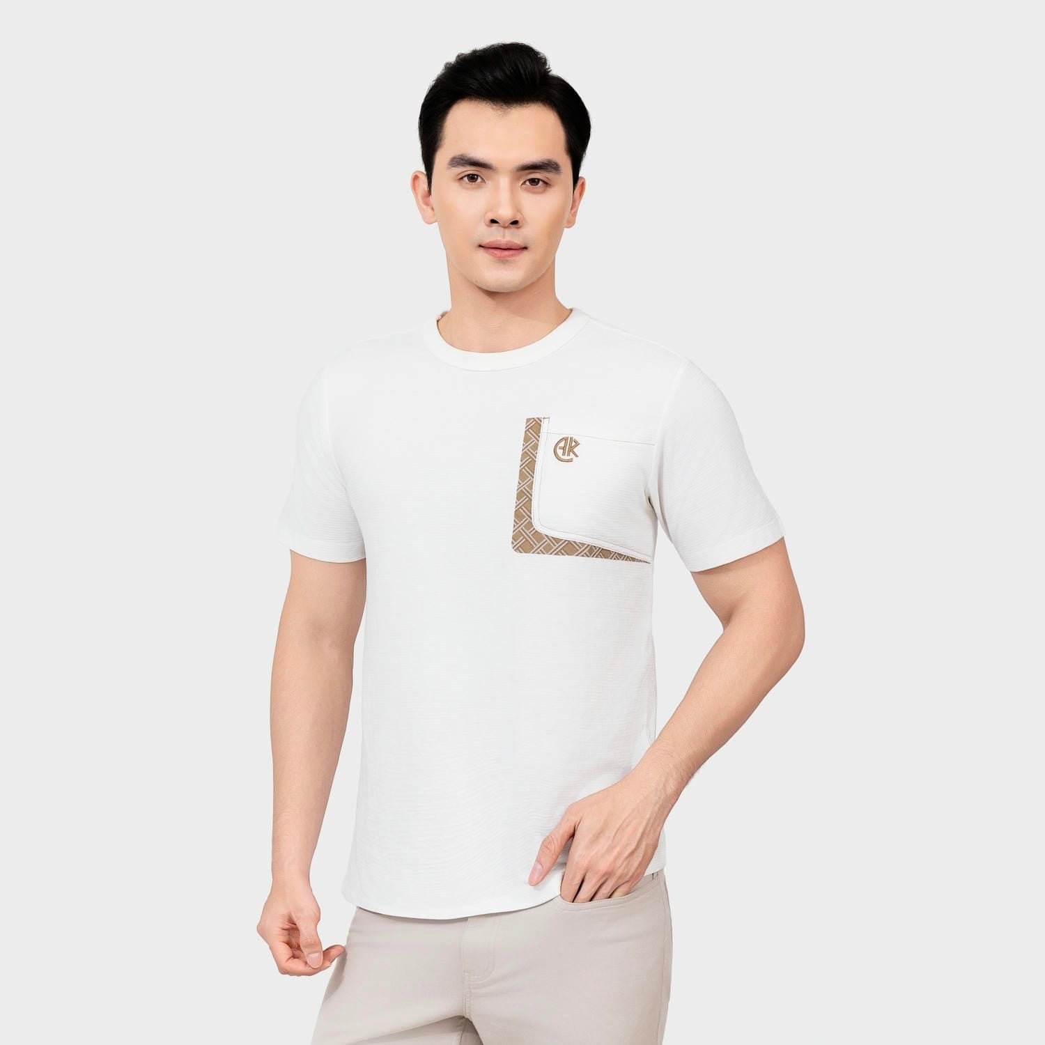 Áo Thun Ngắn Tay Nam Aristino Regular ATS003FAH0