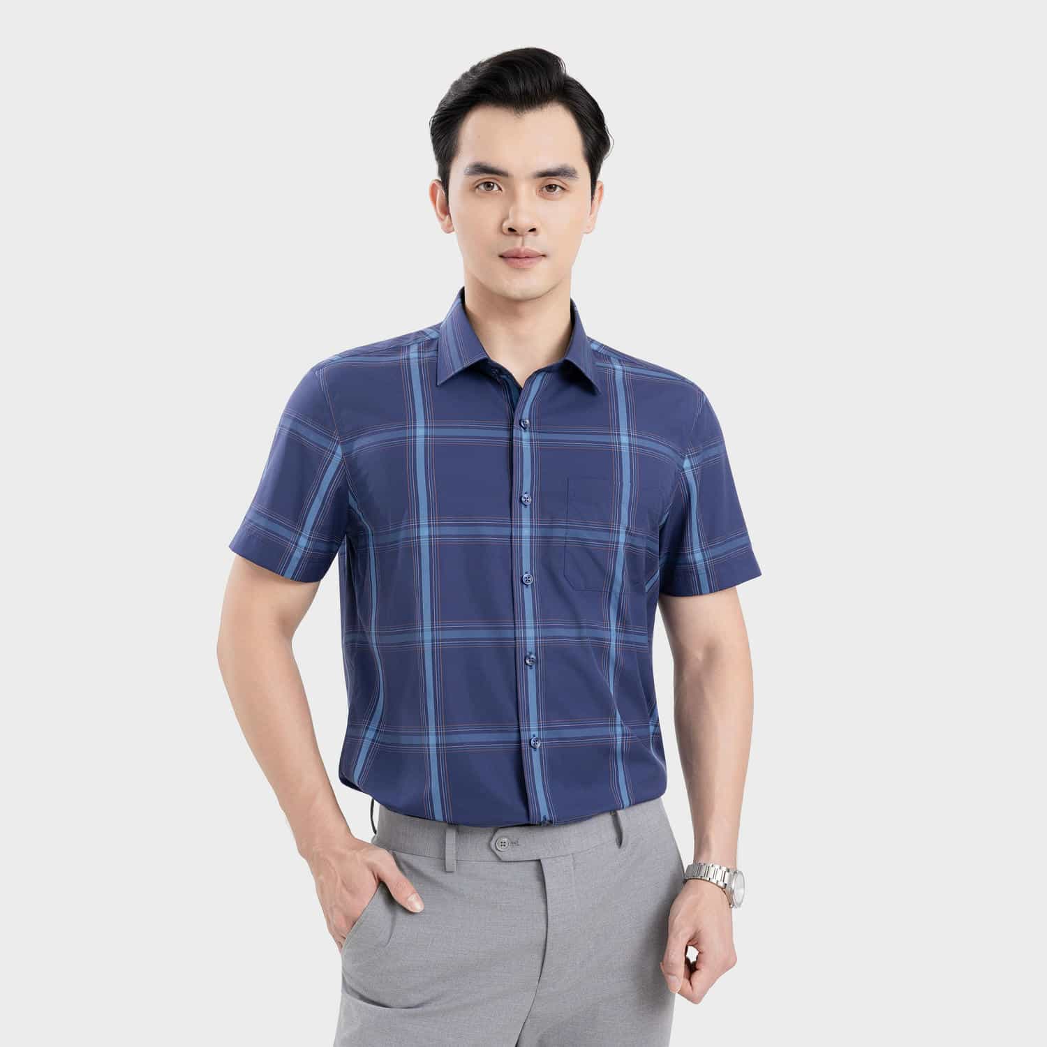 Áo Sơ Mi Ngắn Tay Nam Aristino Business Regular Fit 1SS604EDP01