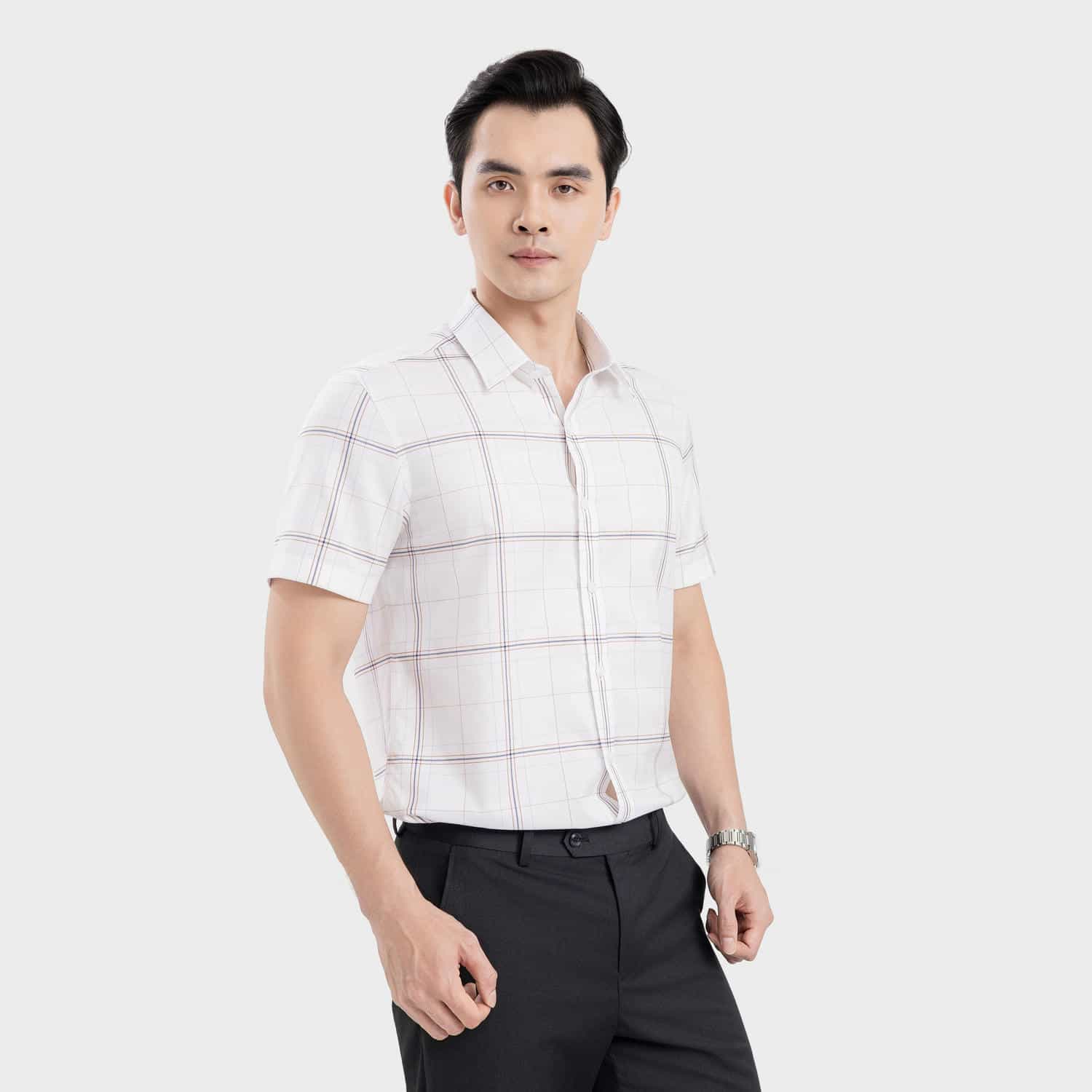 Áo Sơ Mi Ngắn Tay Nam Aristino Business Slim Fit 1SS223SAH2