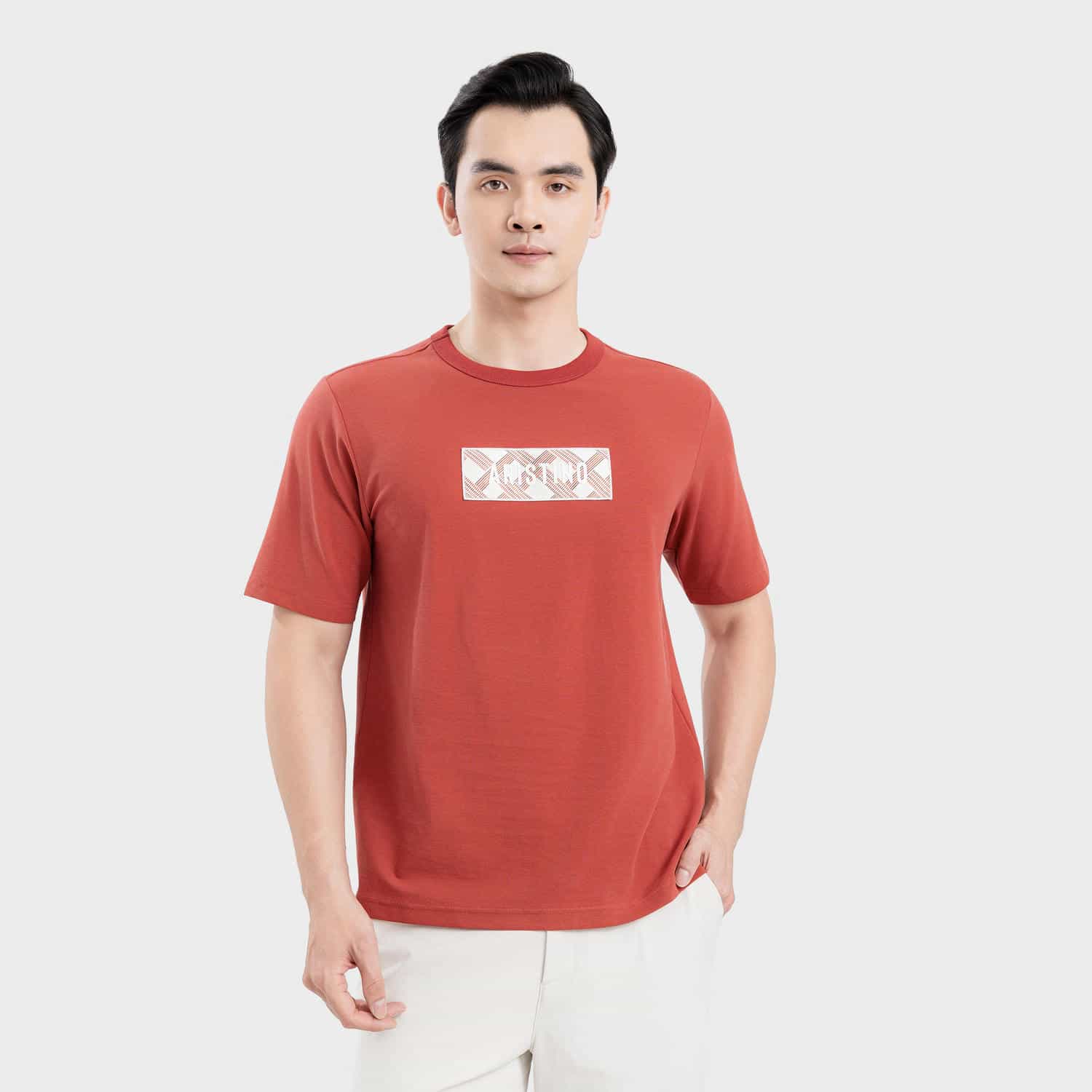 Áo Thun Ngắn Tay Nam Aristino Regular ATS216SAH0