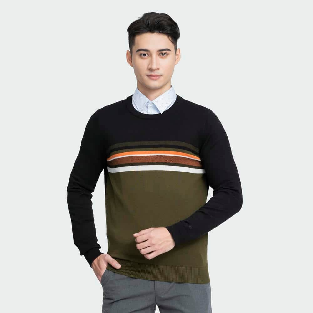 Áo len Nam Aristino AWO003W3