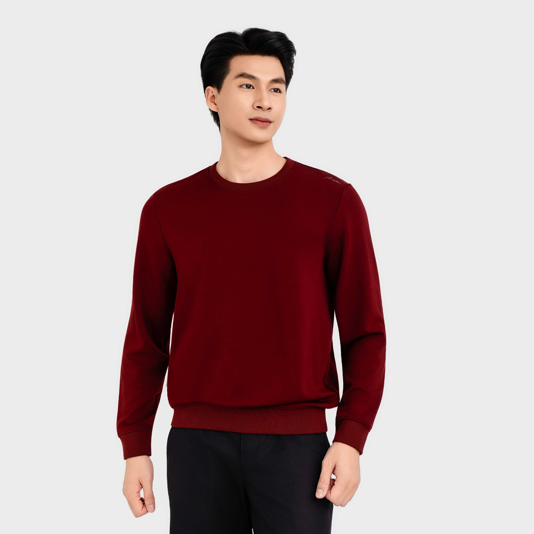 Áo Nỉ Sweatshirt Nam Aristino Business Regular Fit 1SW001BH0