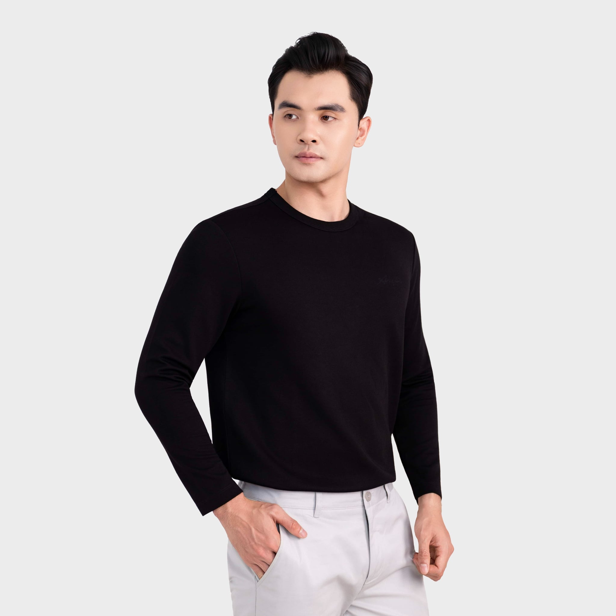 Áo Thun dài tay Nam Aristino ALT005BH0