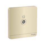  Bộ Ổ Cắm TV Đơn 