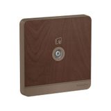  Bộ Ổ Cắm TV Đơn 