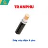  Dây Cáp Điện 3 Pha Trần Phú 41 Phương Liệt 