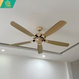  Quạt Trần 5 Cánh HH2070 