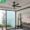  Quạt trần Hunter Sivelle 24039 