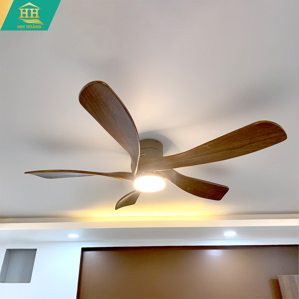  Quạt Trần Kaiyokukan KuKan 211 