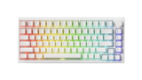  BÀN PHÍM CƠ AKKO 5075 V5 HE COMIC - WHITE 