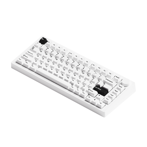  BÀN PHÍM MONSGEEK M1 V5 BLACK ON WHITE 