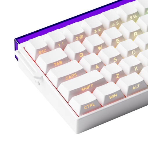  BÀN PHÍM VEEKOS SHINE60 SP WHITE AKKO FLASH MAGNETIC SWITCH MULTI MODE 