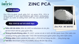  ZINC PCA 