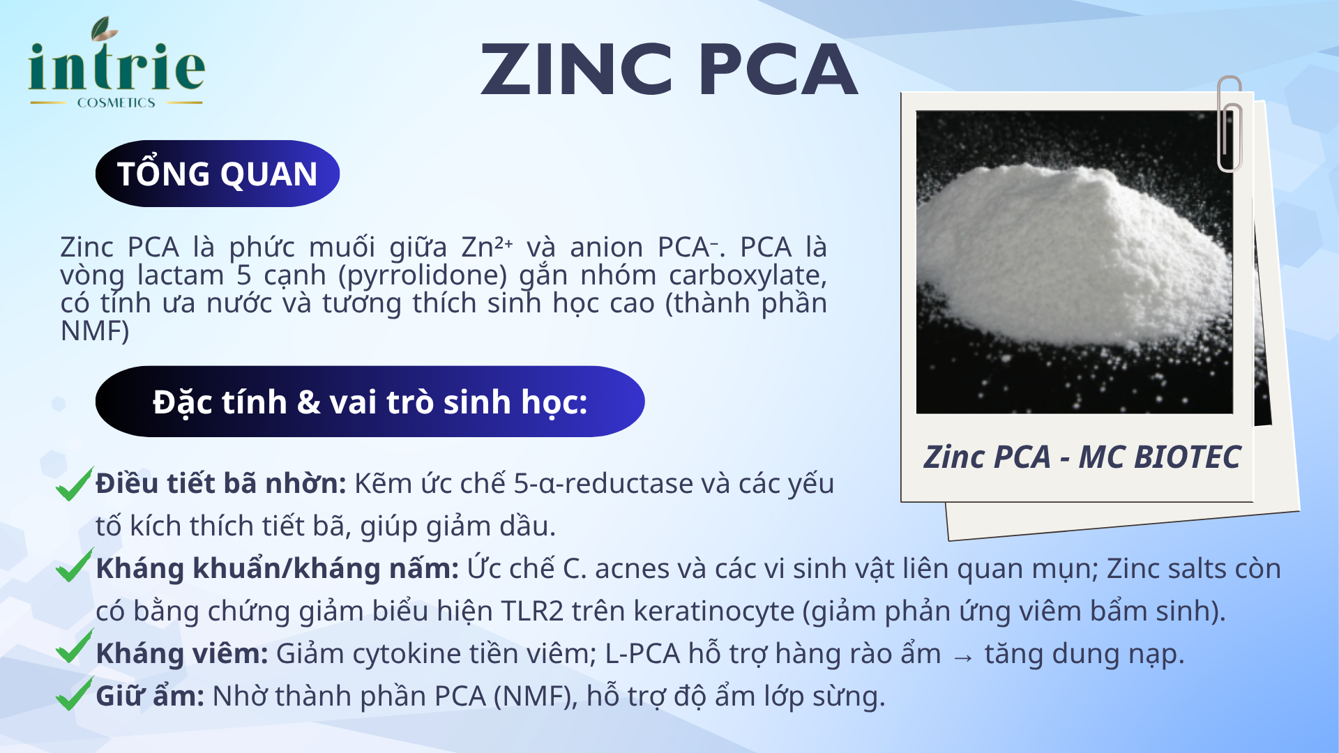  ZINC PCA 