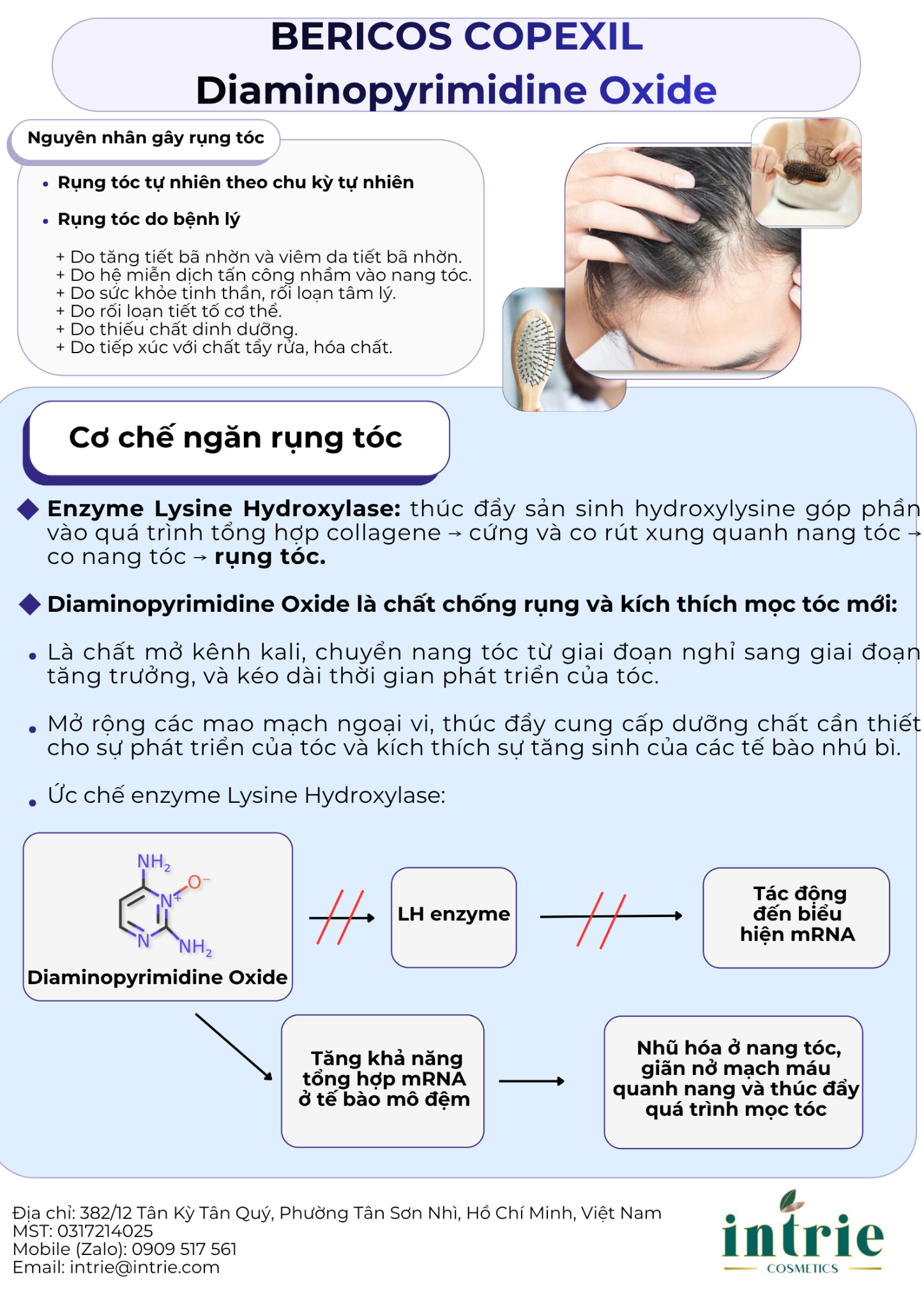  BERICOS® COPEXIL (Diaminopyrimidine Oxide) 