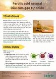  Ferulic Acid 