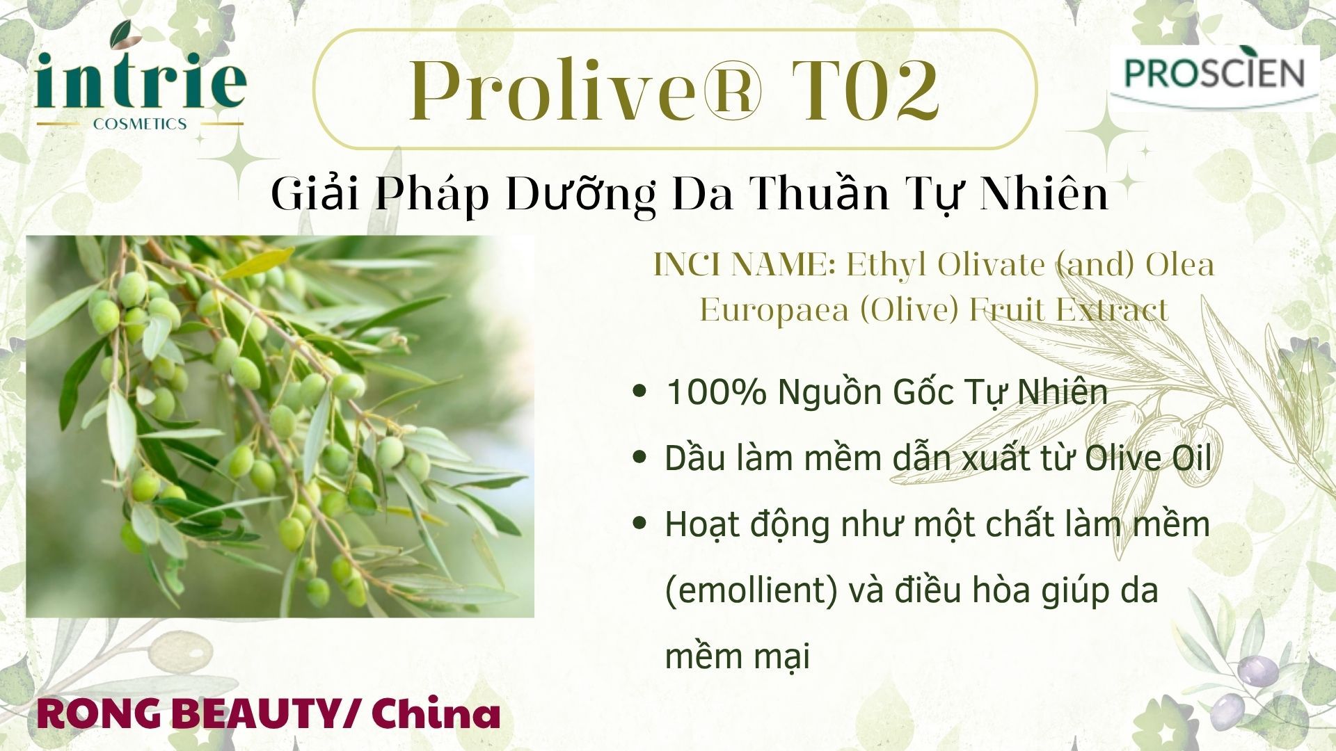 PROLIVE® T02 