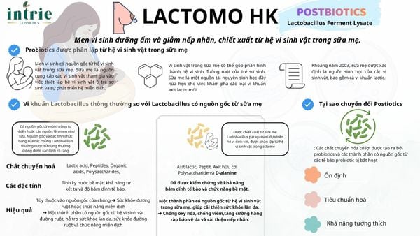 LACTOMO HK 