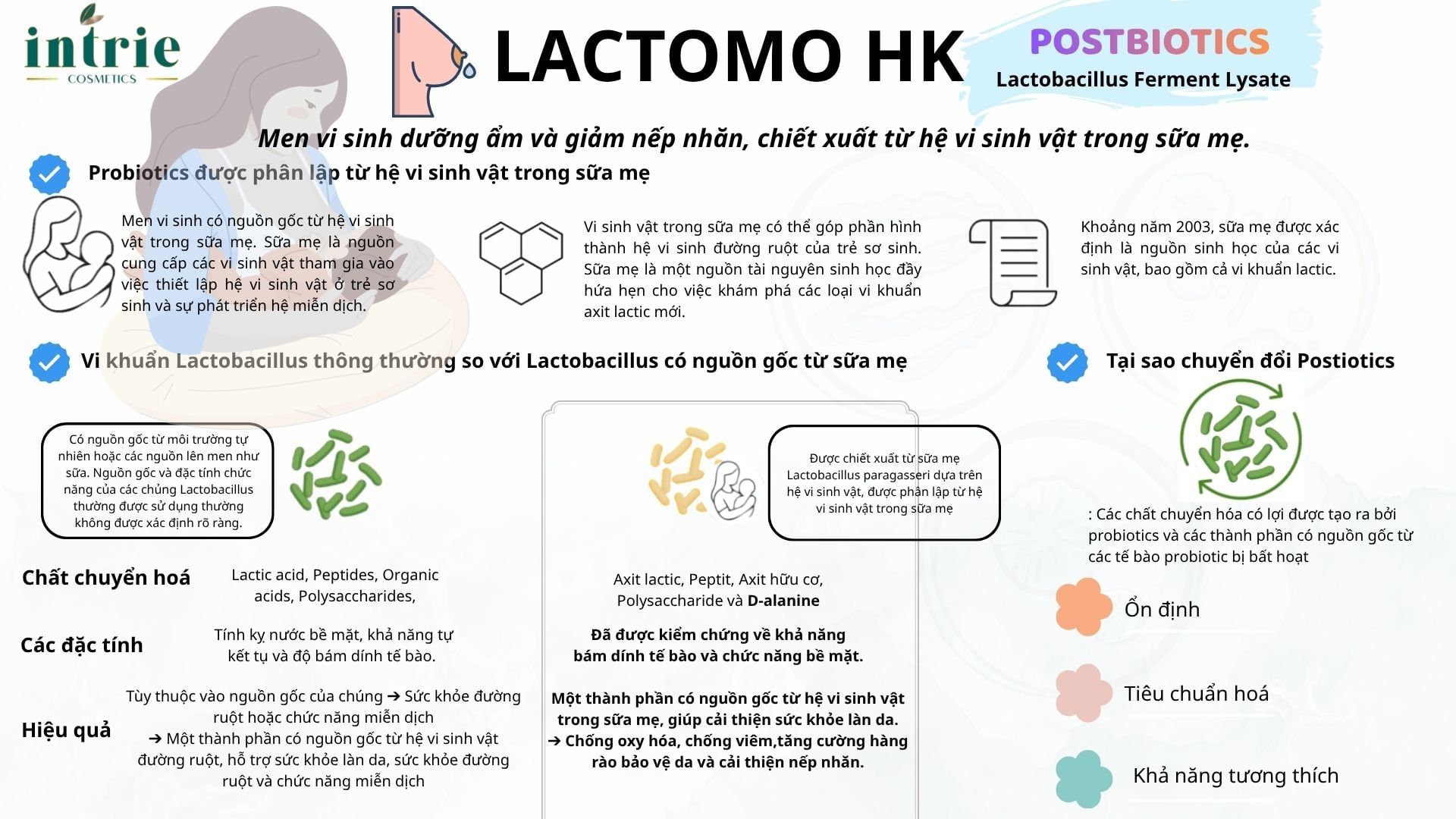  LACTOMO HK 