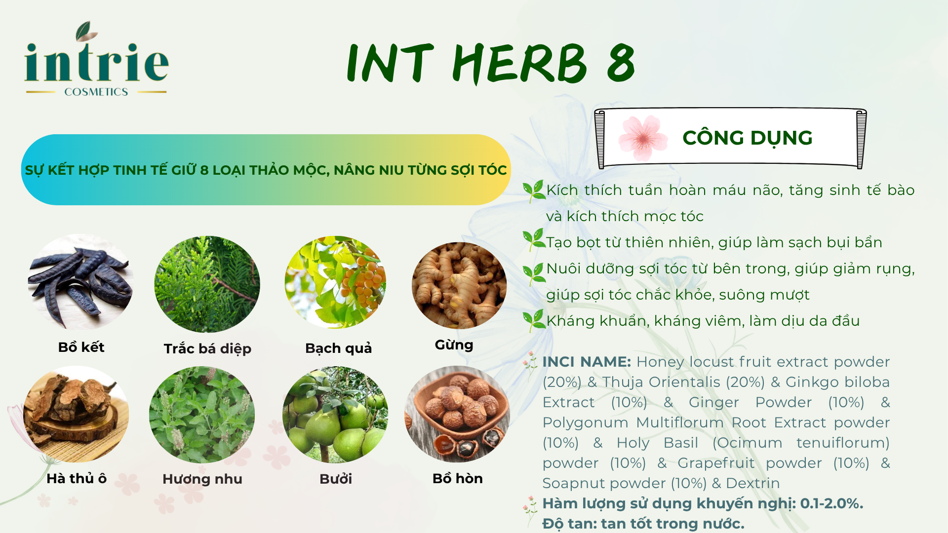  INT HERB 8 