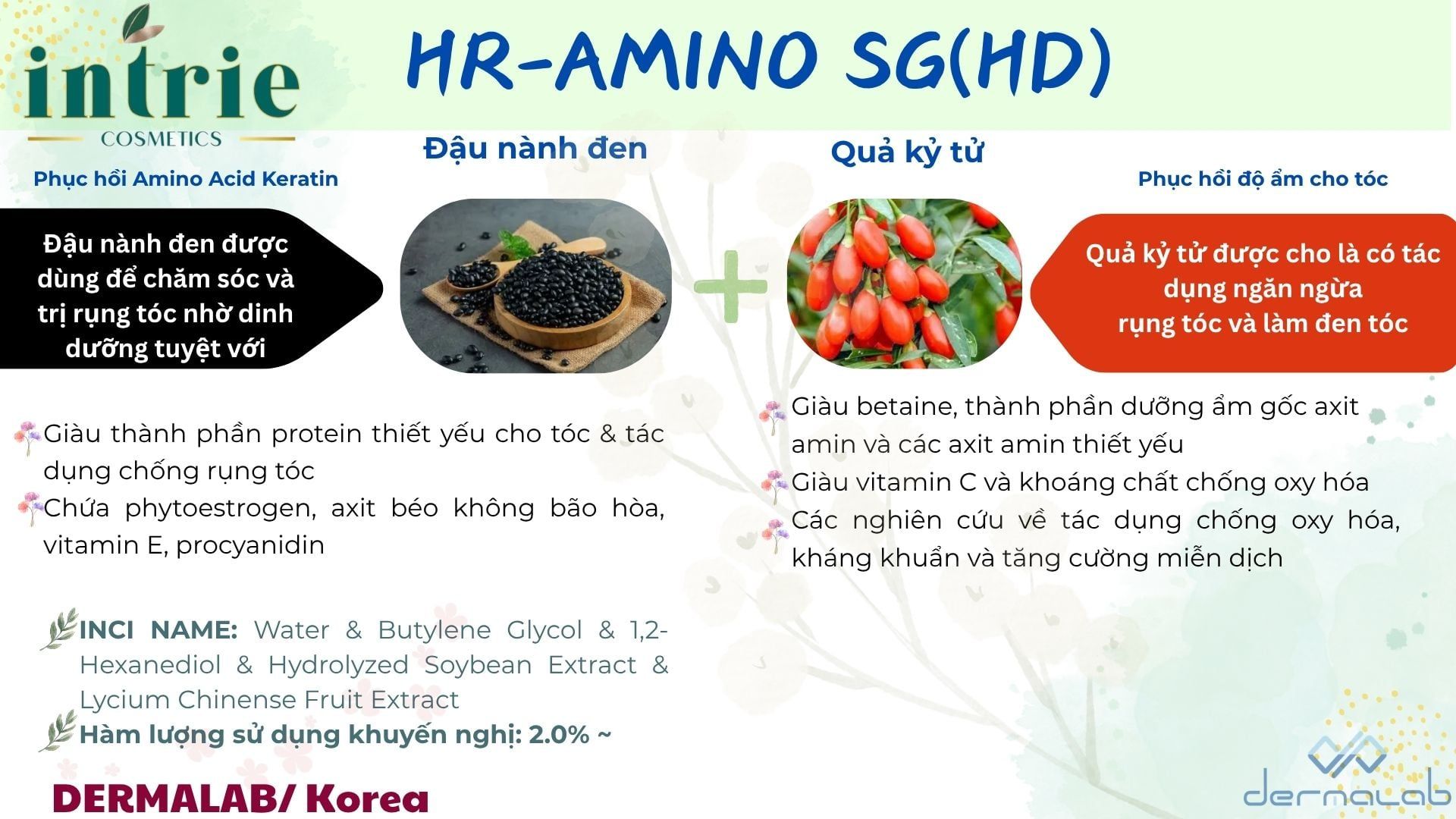  HR-AMINO SG (HD) 
