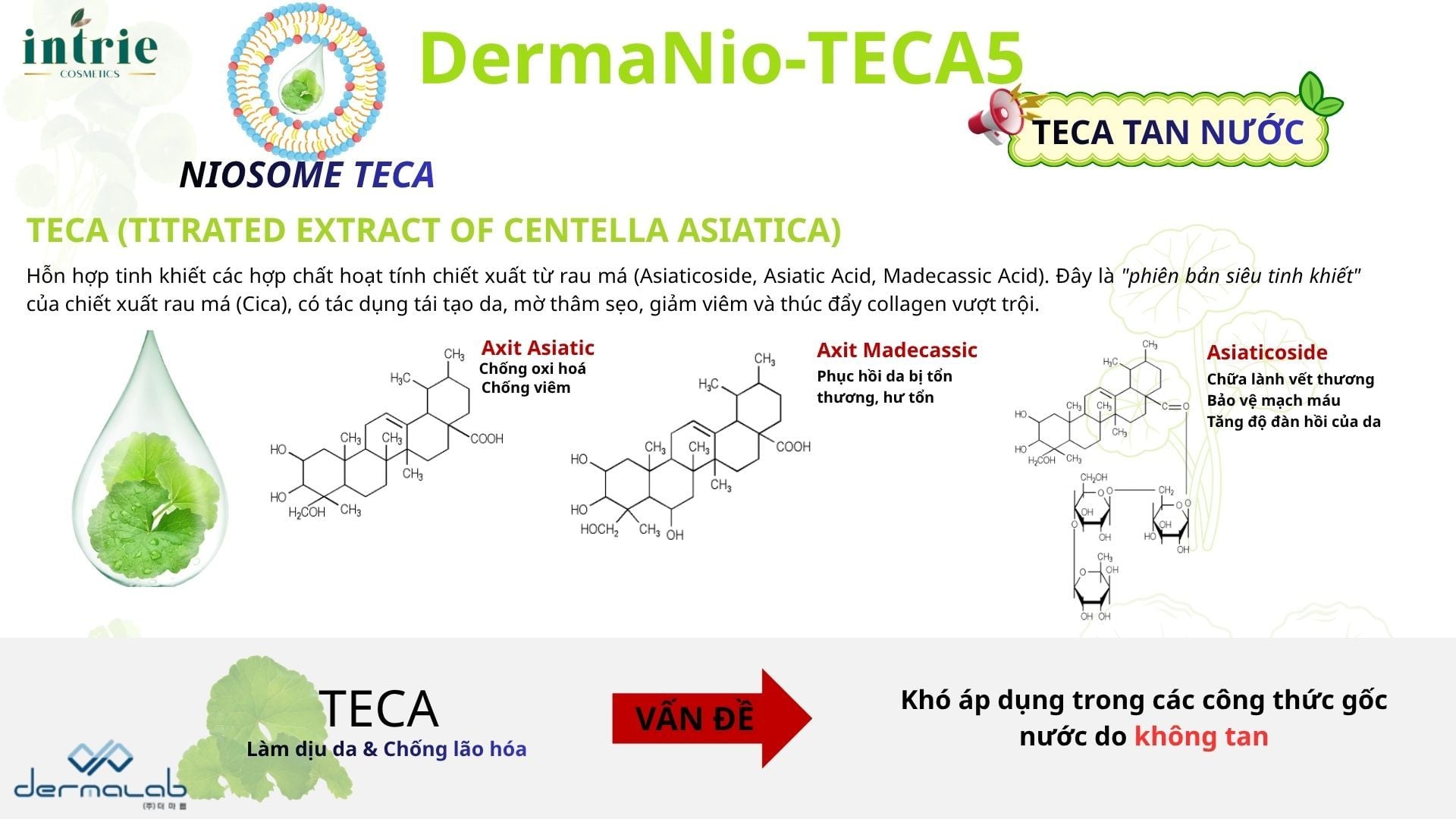  DermaNio-TECA5 