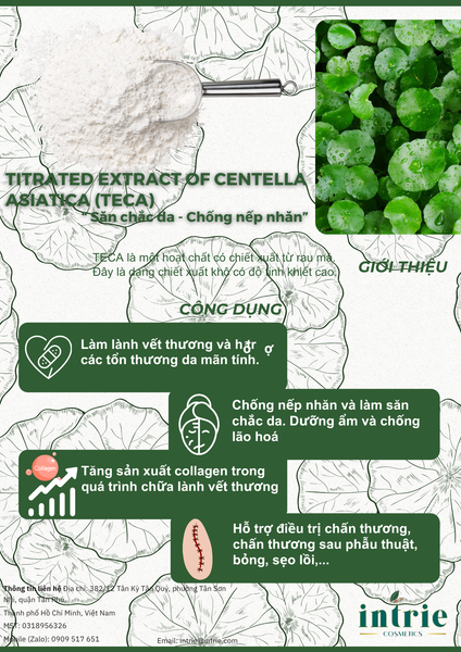  TECA - TITRATED EXTRACT OF CENTELLA ASIATICA 