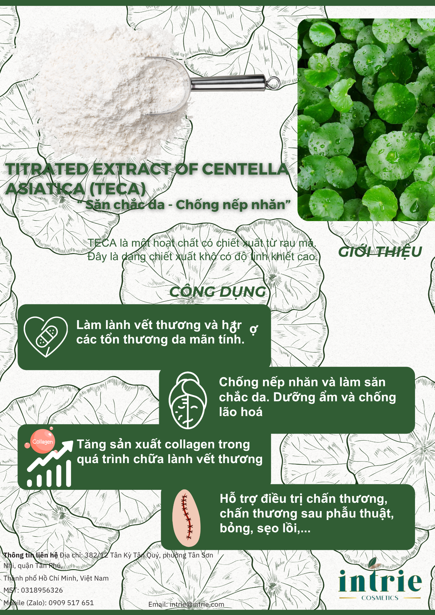  TECA - TITRATED EXTRACT OF CENTELLA ASIATICA 