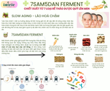  7Sam5Dan Ferment 